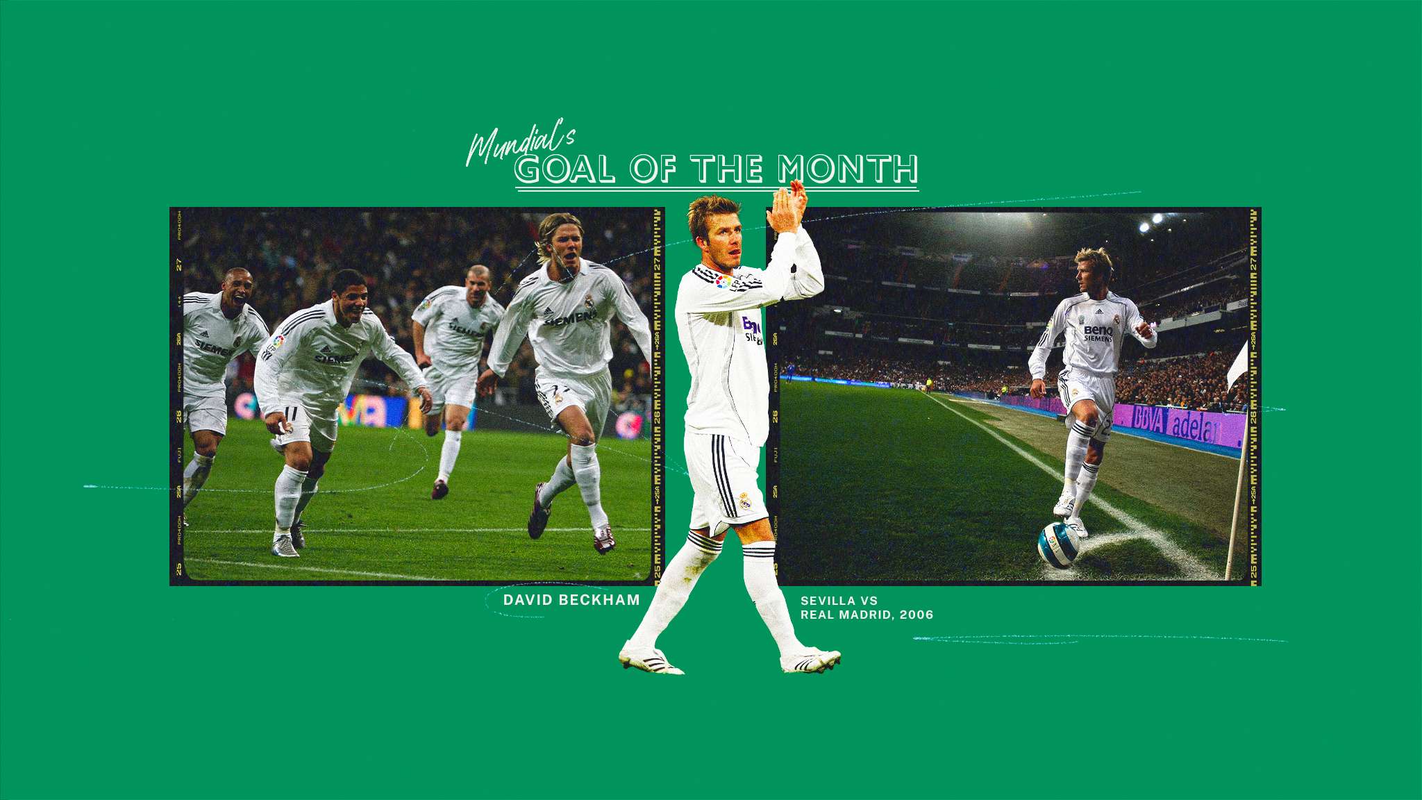 己的位置 己的位置